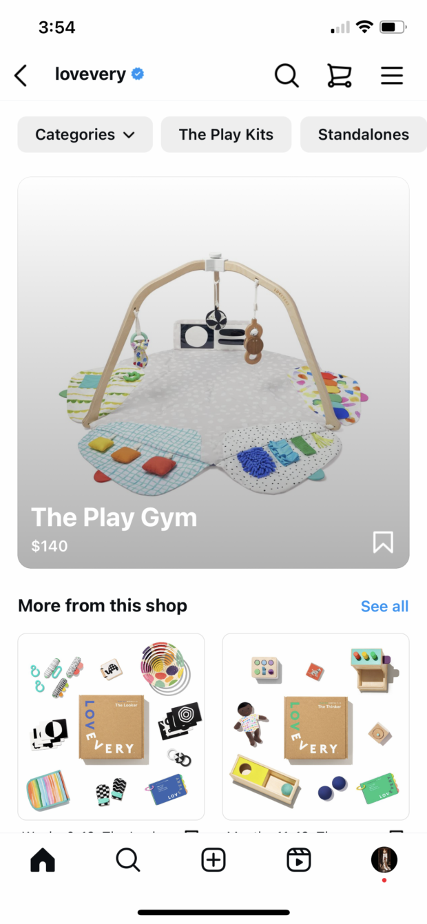 Lovevery the play gym and other products