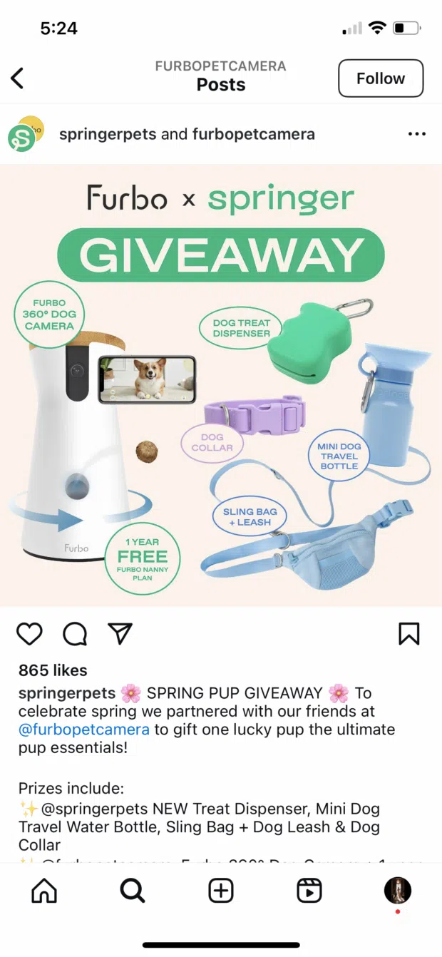 Springer Pets and Furbo brand collaboration and giveaway