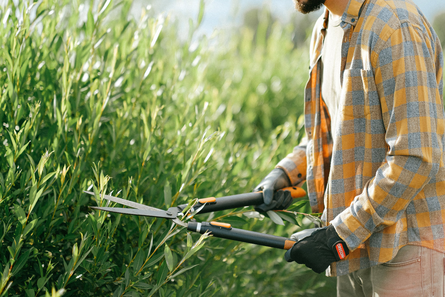 Man in a plaid shirt trimming bushes with hedge clippers.