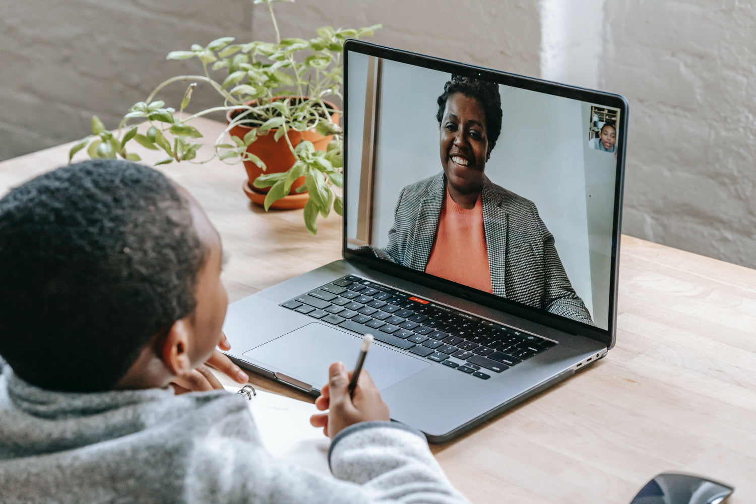 Person on a video call with a woman on a laptop, with a plant in the background